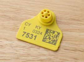 Identification marking or coding Identification marking or coding